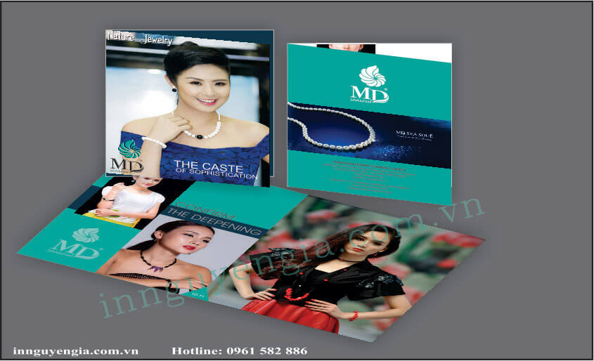in catalogue đẹp