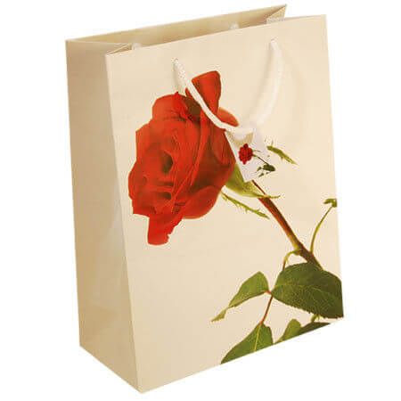 Hiển thị chi tiết cho Công ty chuyên sản xuất in túi giấy giá rẻ Hình ảnh cho bài viết Công ty chuyên sản xuất in túi giấy giá rẻ