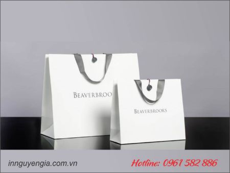 Hiển thị chi tiết cho Chuyên nhận làm túi giấy trọn gói Hình ảnh cho bài viết Chuyên nhận làm túi giấy trọn gói