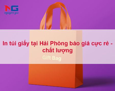 Hiển thị chi tiết cho In túi giấy tại Hải Phòng báo giá cực rẻ - chất lượng Hình ảnh cho bài viết In túi giấy tại Hải Phòng báo giá cực rẻ - chất lượng