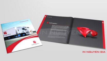 Hình ảnh của In profile