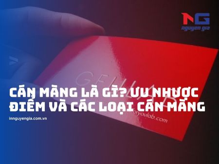 Hình ảnh cho bài viết Cán màng là gì? Ưu nhược điểm và các loại cán màng hiện nay