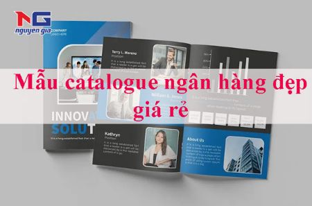 Hình ảnh cho bài viết 35+ Mẫu catalogue ngân hàng đẹp, chất lượng tham khảo