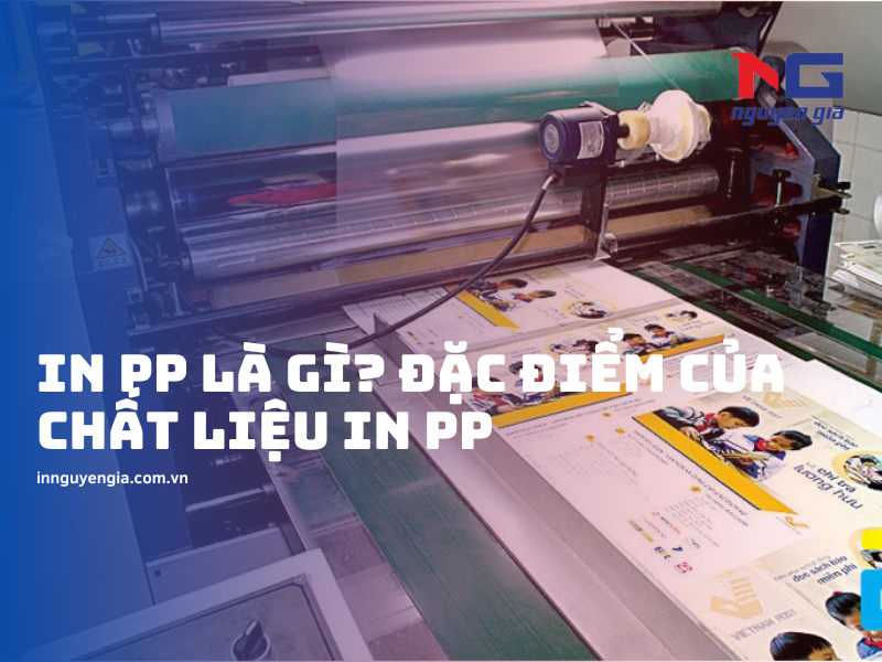 In PP là gì? Đặc điểm của in PP