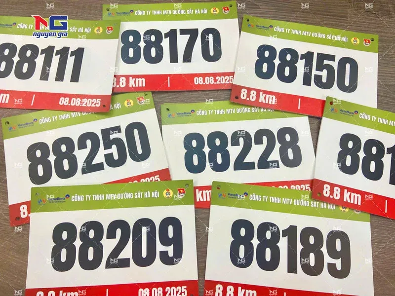 mẫu bib thực tế