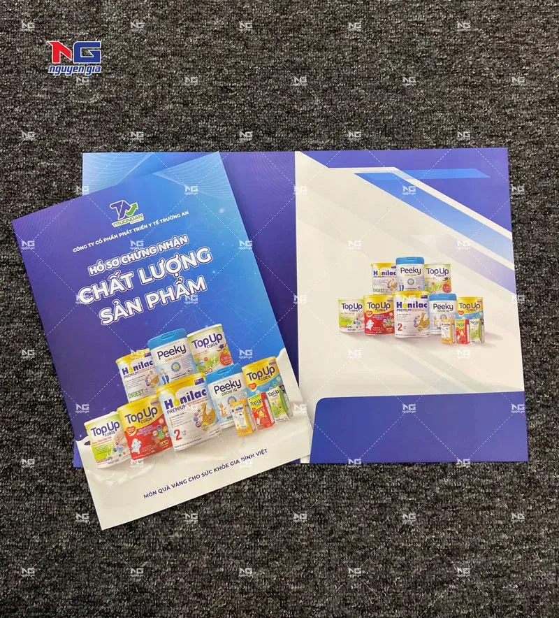 in kẹp file Hà Nội