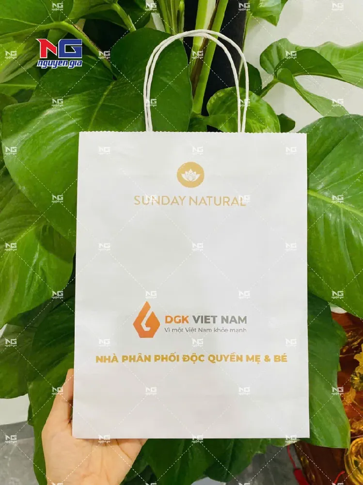 Mẫu túi giấy DSK 