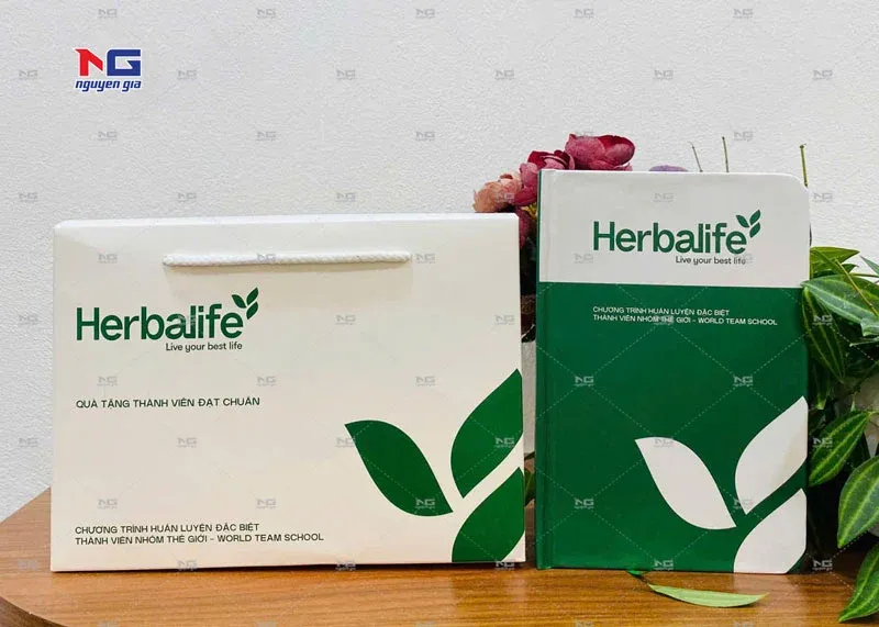 mẫu túi giấy Herbalife đẹp