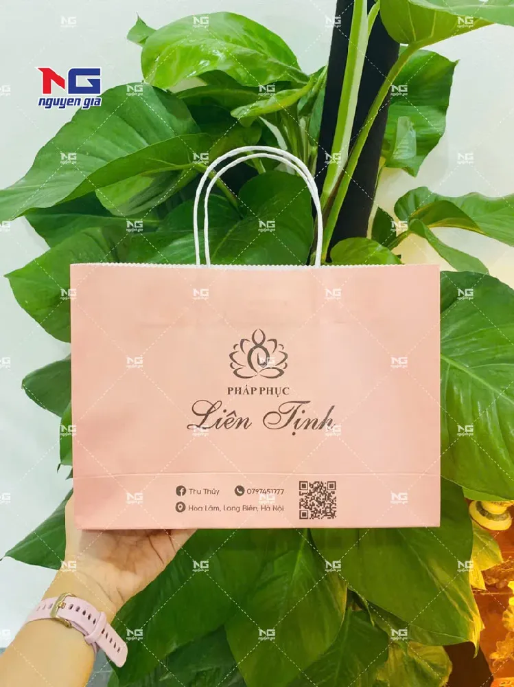 mẫu túi giấy Liên Tịnh