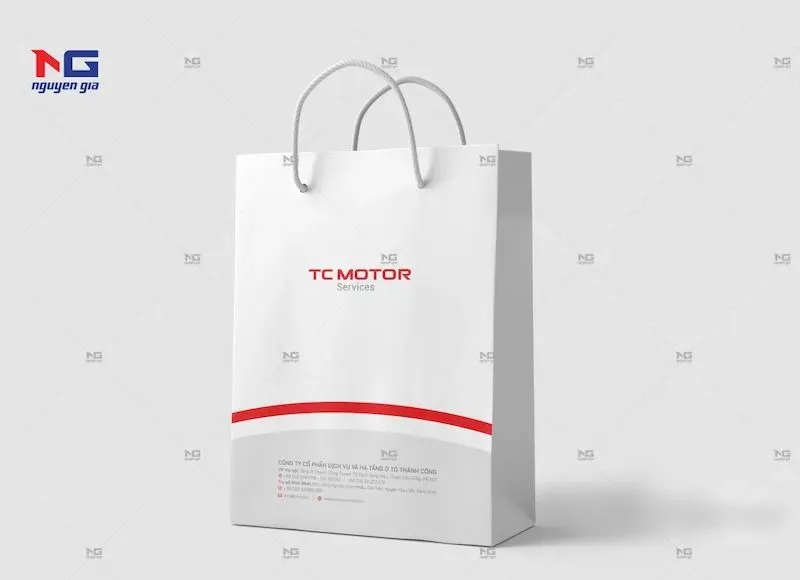 Dịch vụ in túi giấy rẻ tốt tại Hà Nội