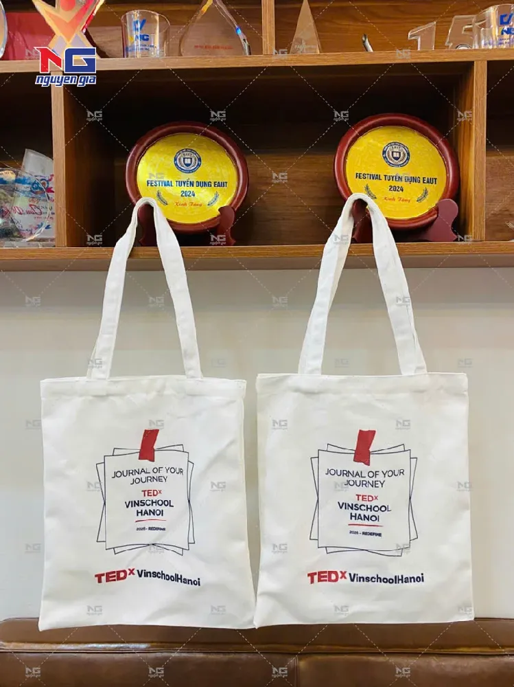 Mẫu túi vải canvas Vinshool 
