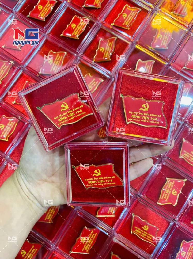 mẫu huy hiệu kỉ niệm chương