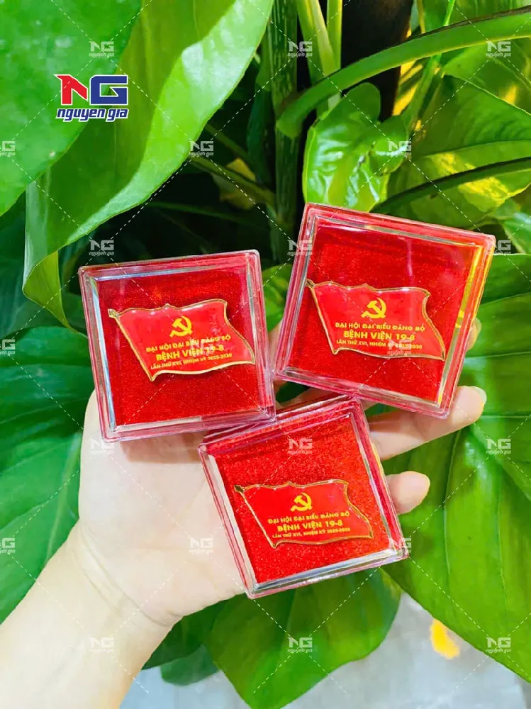 mẫu kỷ niệm chương huy hiệu